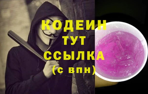 стаф Гусев