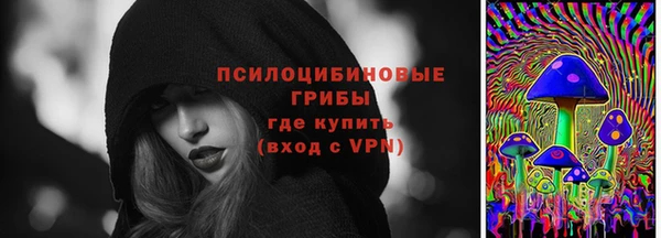 стаф Гусев
