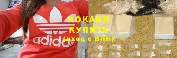 стаф Гусев