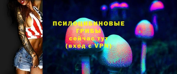 мдпв Гусиноозёрск