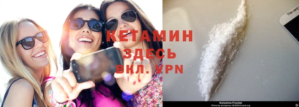 стаф Гусев