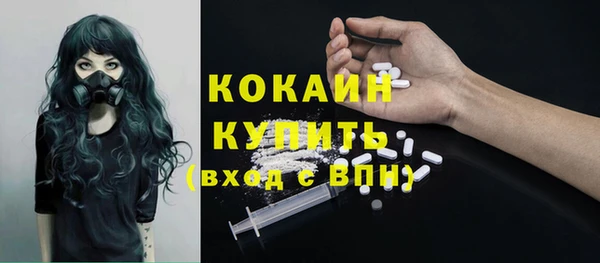 ECSTASY Гусь-Хрустальный