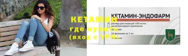 ECSTASY Гусь-Хрустальный