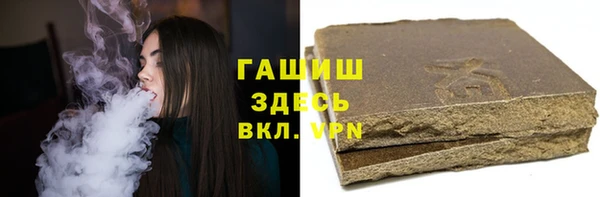 стаф Гусев