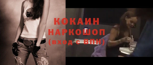 ECSTASY Гусь-Хрустальный