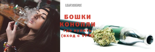 ECSTASY Гусь-Хрустальный