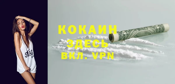 ECSTASY Гусь-Хрустальный