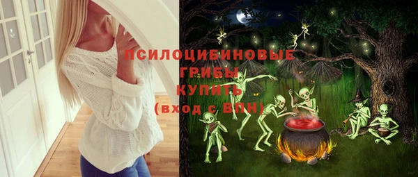 стаф Гусев