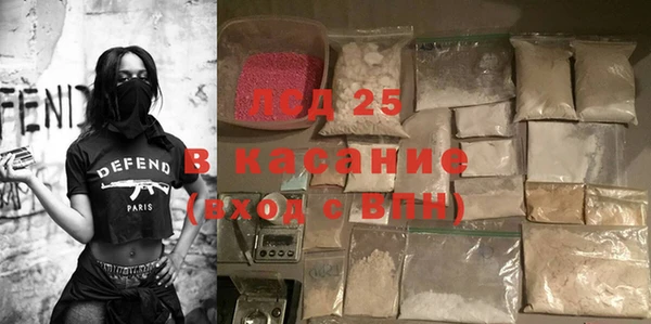стаф Гусев