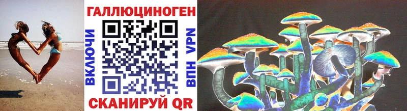 Купить закладки  Рассказово  Псилоцибиновые грибы MAGIC MUSHROOMS 